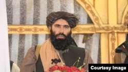 محمد داود مُزَمِّل، والی طالبان در ولایت بلخ افغانستان