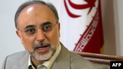 علی‌اکبر صالحی، رئیس سازمان انرژی اتمی ایران