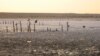 Реанімація Куяльника: чи врятує лиман морська вода?