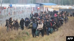 Група мігрантаў каля калючага дроту на беларуска-польскай мяжы