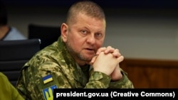 «Наша мета – звільнити всю українську землю від російської окупації», – сказав Валерій Залужний