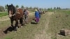 Image result for "Мікалай Юркоў"