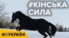 Зображення 16x9