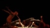 16x9 Image
