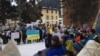 Мітинг на підтримку України в Швейцарії, Давос, 24 січня 2014 року