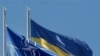 Ігор Долгов, Надзвичайний і Повноважний Посол України в Королівстві Бельгія і Глава Місії України при НАТО
