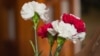 Image result for "Уладзімера Навумава"