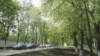 Уфаның Тукай урамы аллеясы
